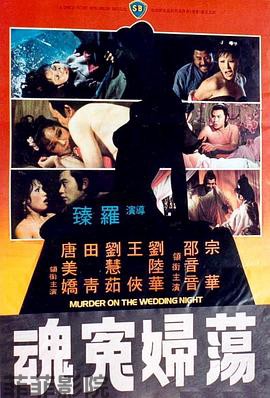 荡妇冤魂 蕩婦冤魂