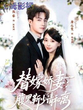 替嫁娇妻：腹黑靳少请和离